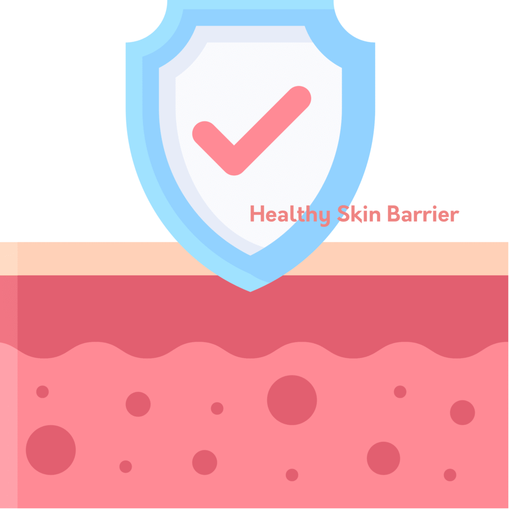 healthy skin barrier